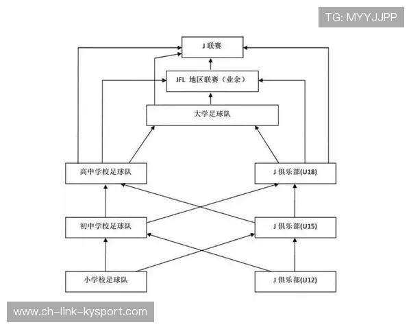 中国足球联赛数据分析平台实现智能化运营，足球联赛分析app