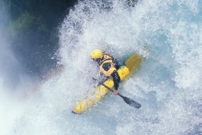 美洲杯逆境中崛起的英雄：闪耀全场的瞬间，美洲杯冠军来群里看看